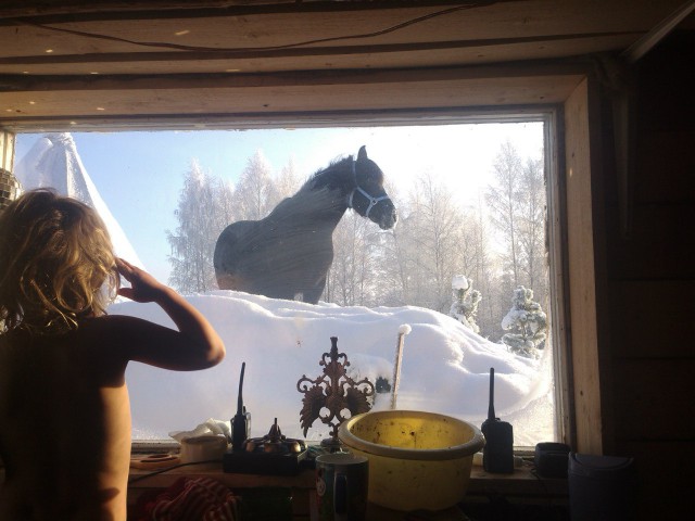 лошадка зимой